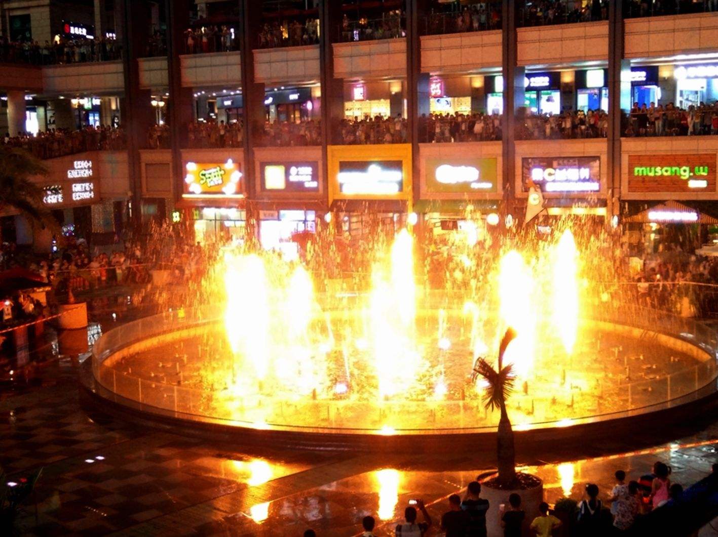 ������Ȫ