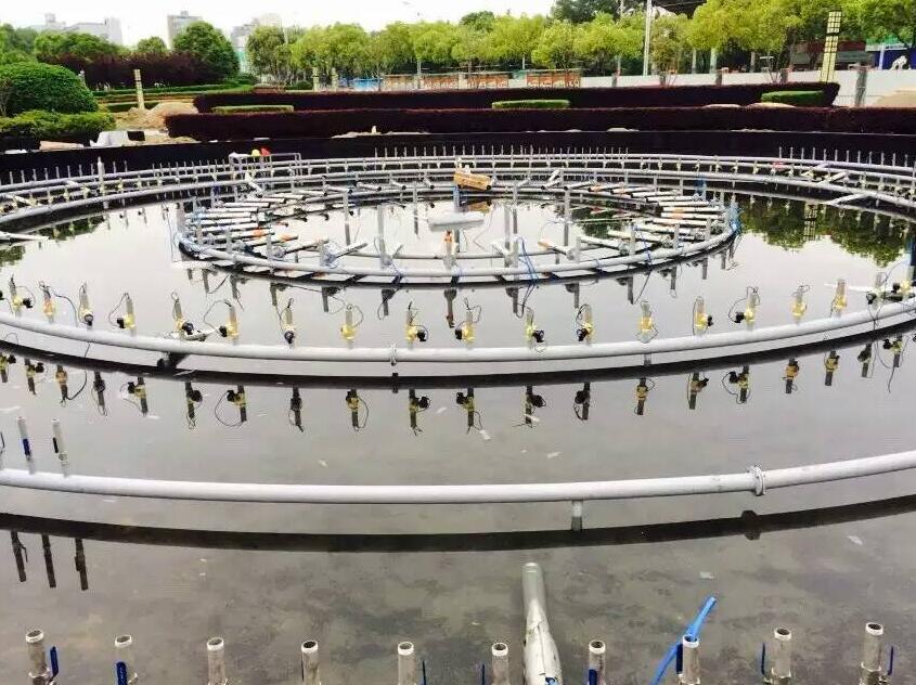 ʩ���F(xi��n)��