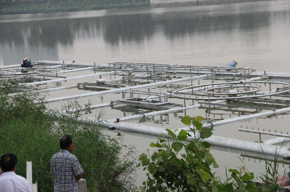 ʩ���F(xi��n)��