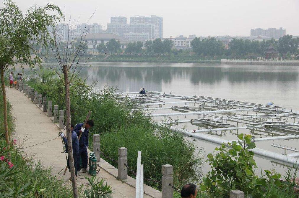 ʩ���F(xi��n)��