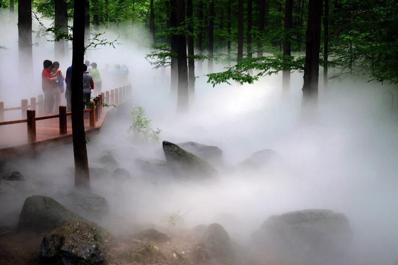 ���з��\�C���Ǉ�Ȫ�Fɭ�(xi��ng)Ŀ