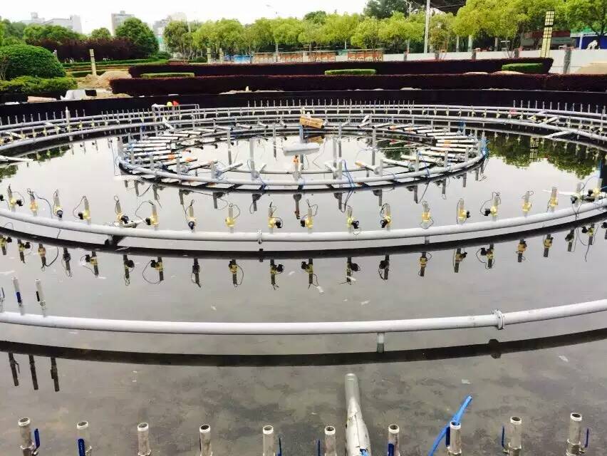 �m�������(zh��n)